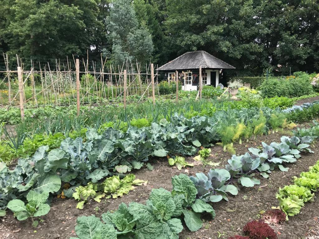 Het Wagenhuis Loon op Zand Bagian luar foto